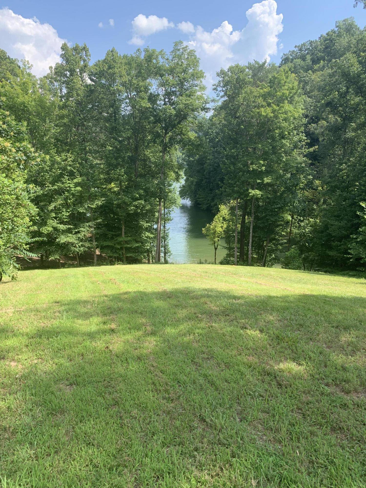 New Tazewell, TN 37825,156 Rockfish PT