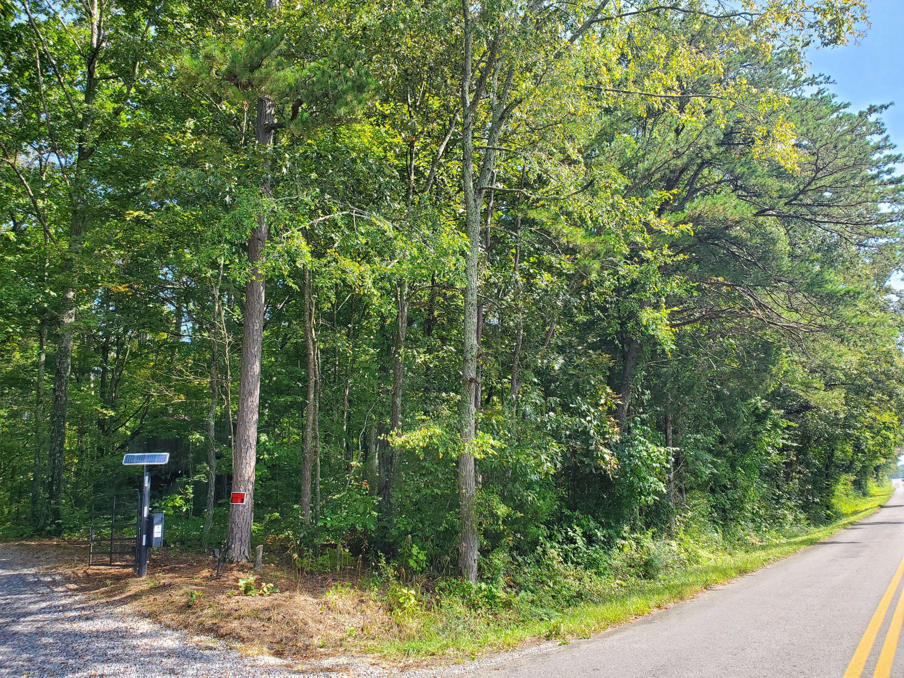 White Pine, TN 37890,Lot 10 Leadvale Rd