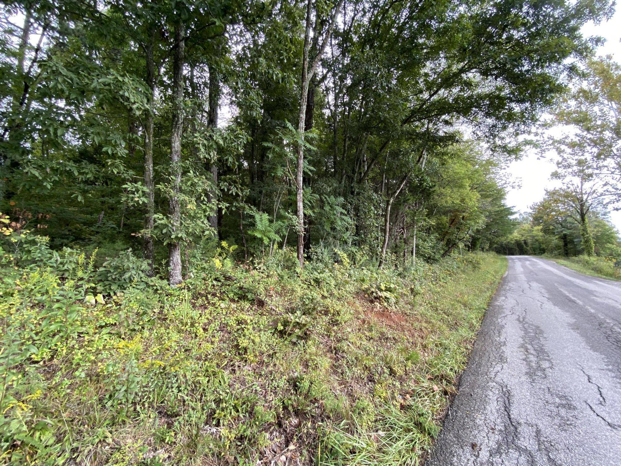 Tellico Plains, TN 37385,Red River Rd