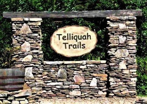 Tellico Plains, TN 37385,Lot 15 Warriors Passage DR