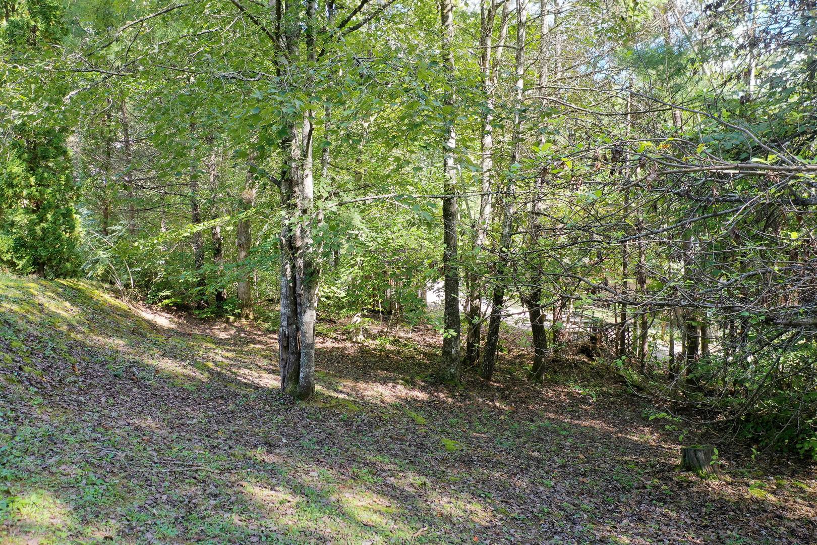 Townsend, TN 37882,127 White Oak LN