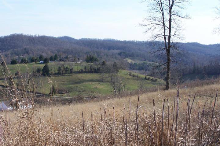 Maynardville, TN 37807,Glen - Lot 10 Rd