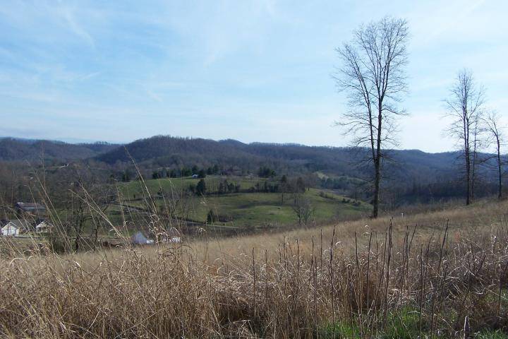 Maynardville, TN 37807,Glen - Lot 10 Rd