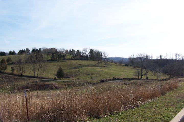 Maynardville, TN 37807,Glen - Lot 13 Rd