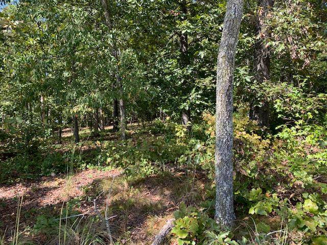 Rockwood, TN 37854,E. Shore Dr,  Lot 202