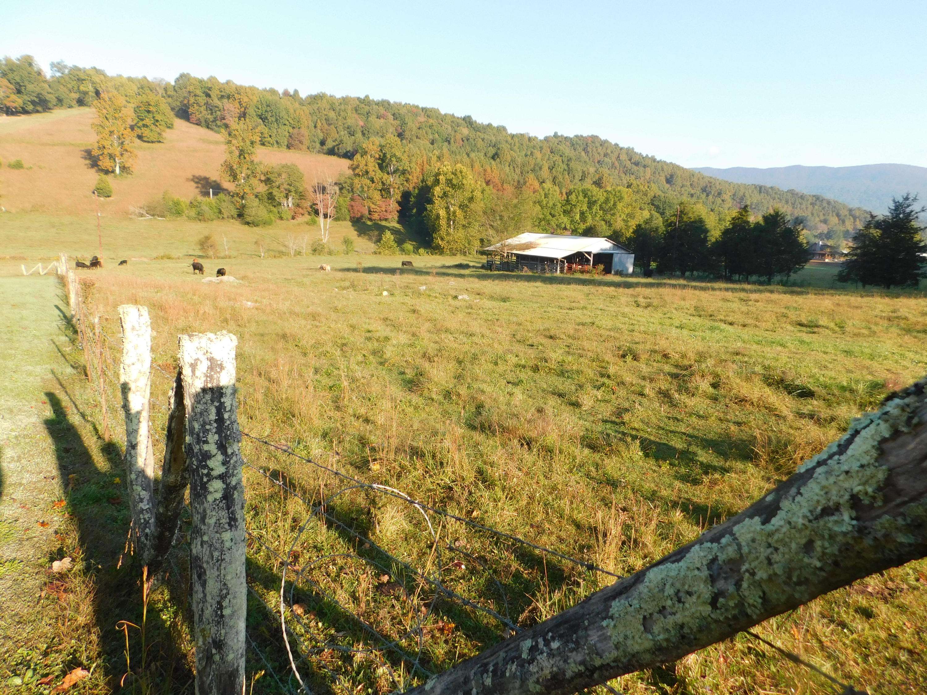 Ewing, VA 24248,Frog Level Rd