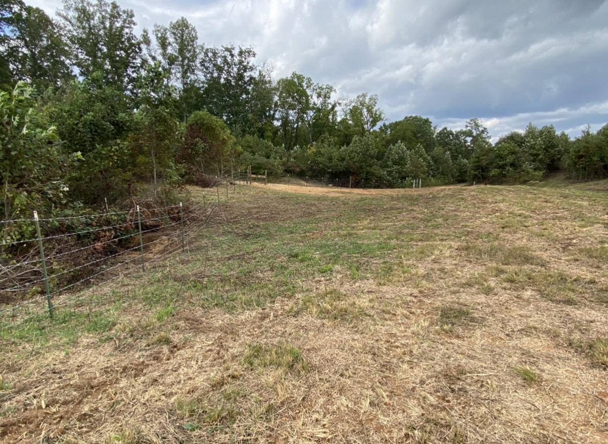 Harrogate, TN 37752,Lot 2 Frog Level Rd