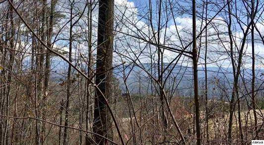 Sevierville, TN 37876,Lot 146R Mountaineer Trail