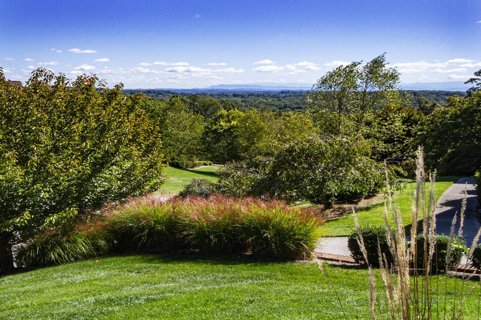 Knoxville, TN 37934,683 Brochardt Blvd