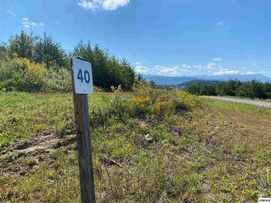 Sevierville, TN 37876,Lot 40 Mountain Ash WAY