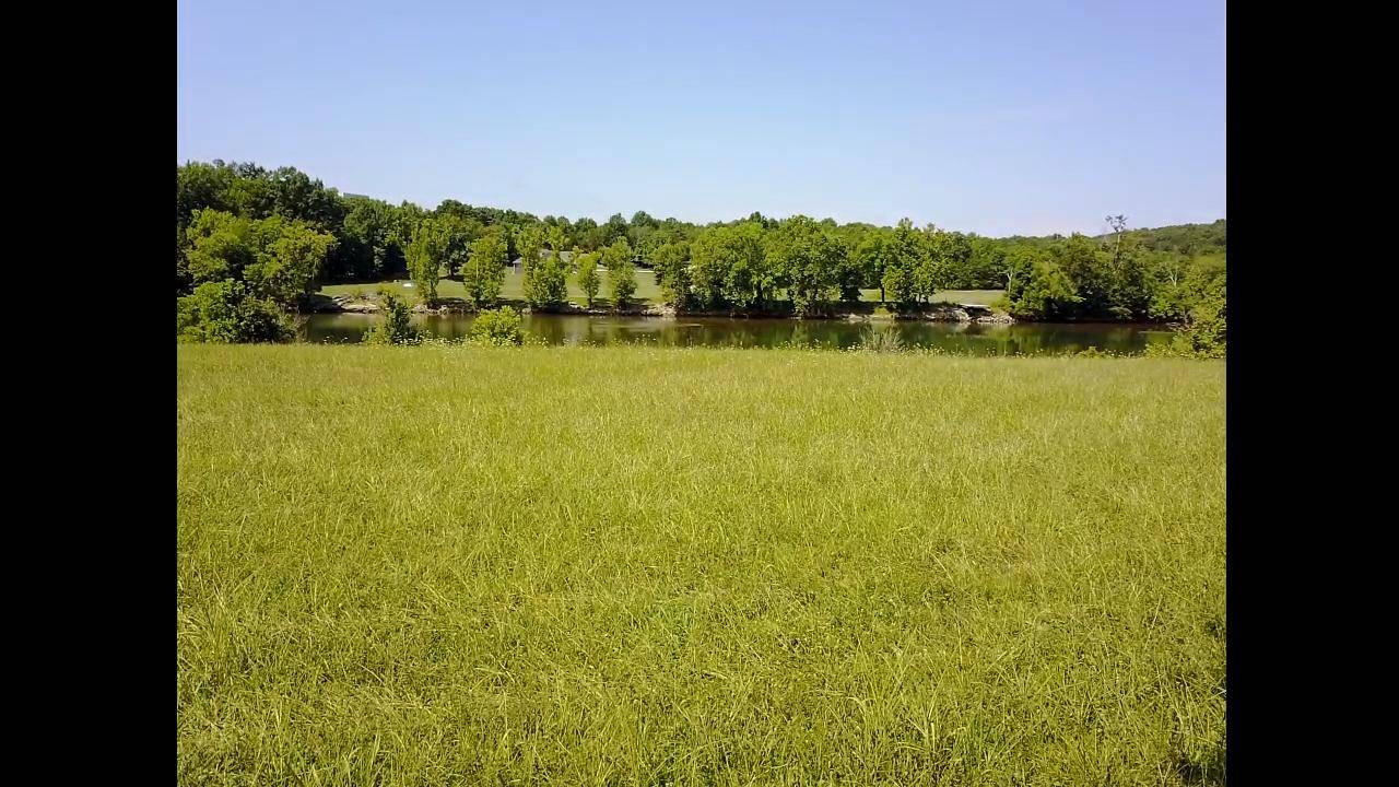 Strawberry Plains, TN 37871,Lot 1 Stone Hill WAY