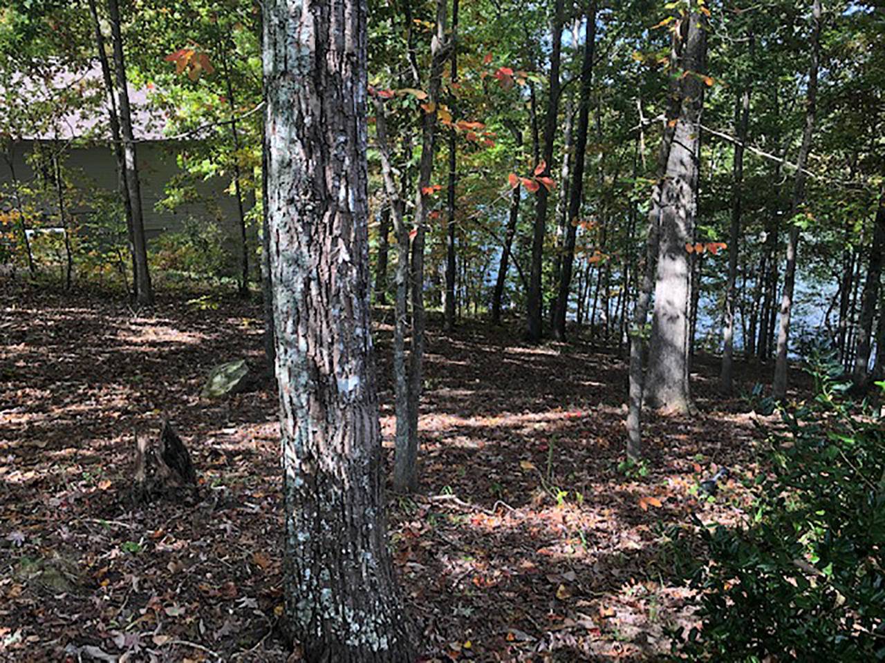 Fairfield Glade, TN 38558,216 Lakeside DR