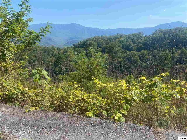 Gatlinburg, TN 37738,921 Cedar Lane