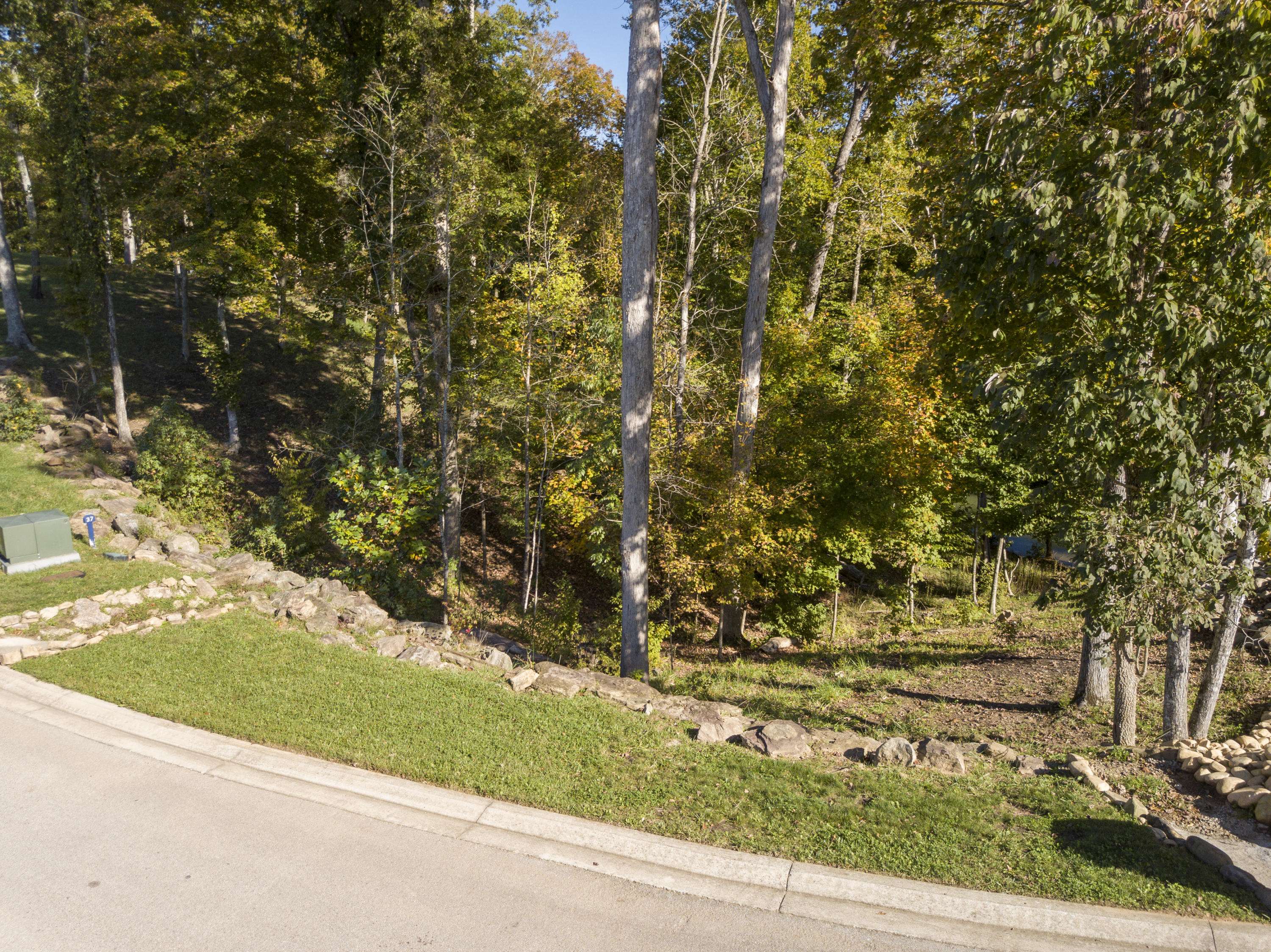 Ten Mile, TN 37880,Lot 38 Waterfront WAY