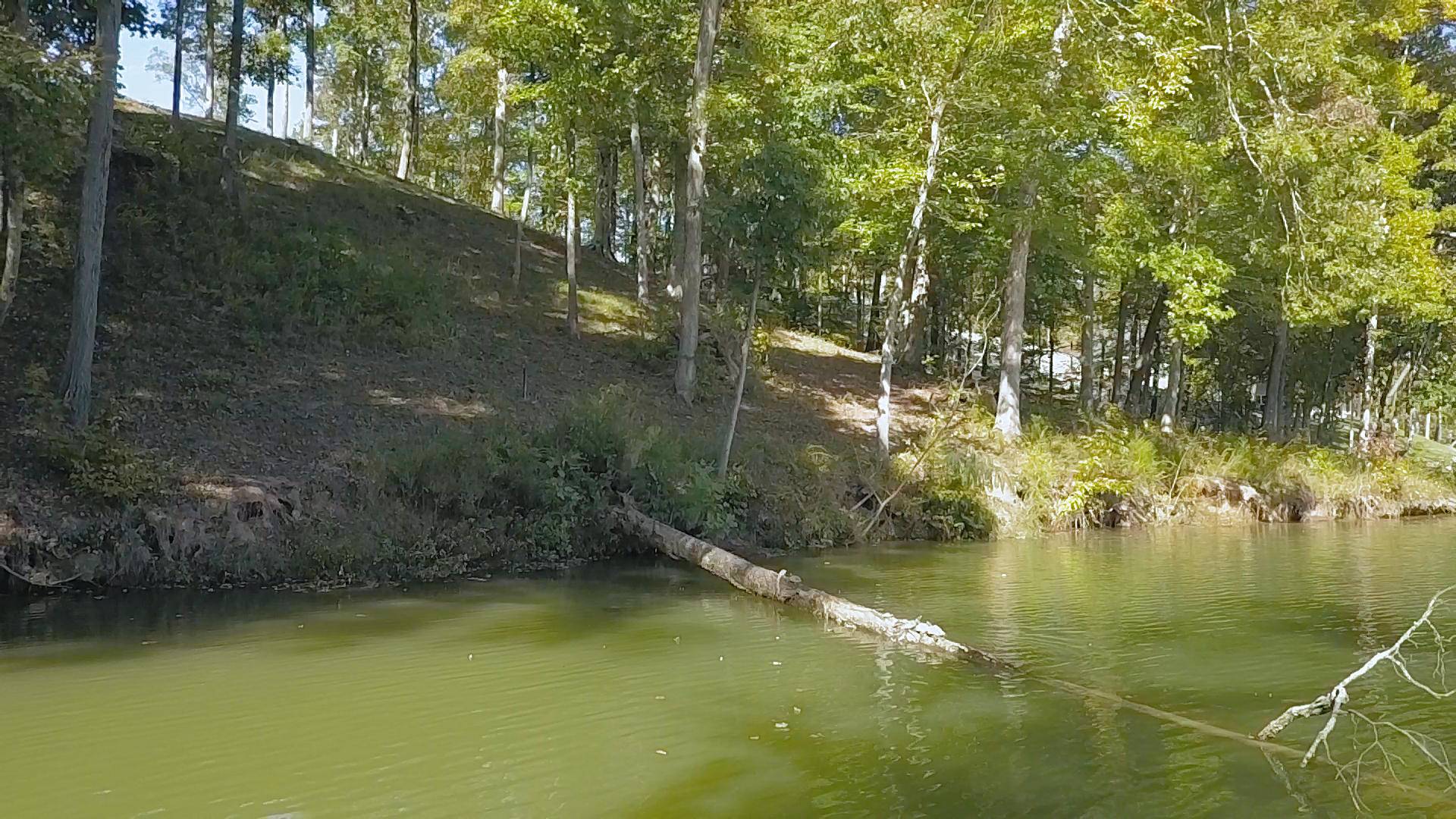 Ten Mile, TN 37880,Lot 38 Waterfront WAY