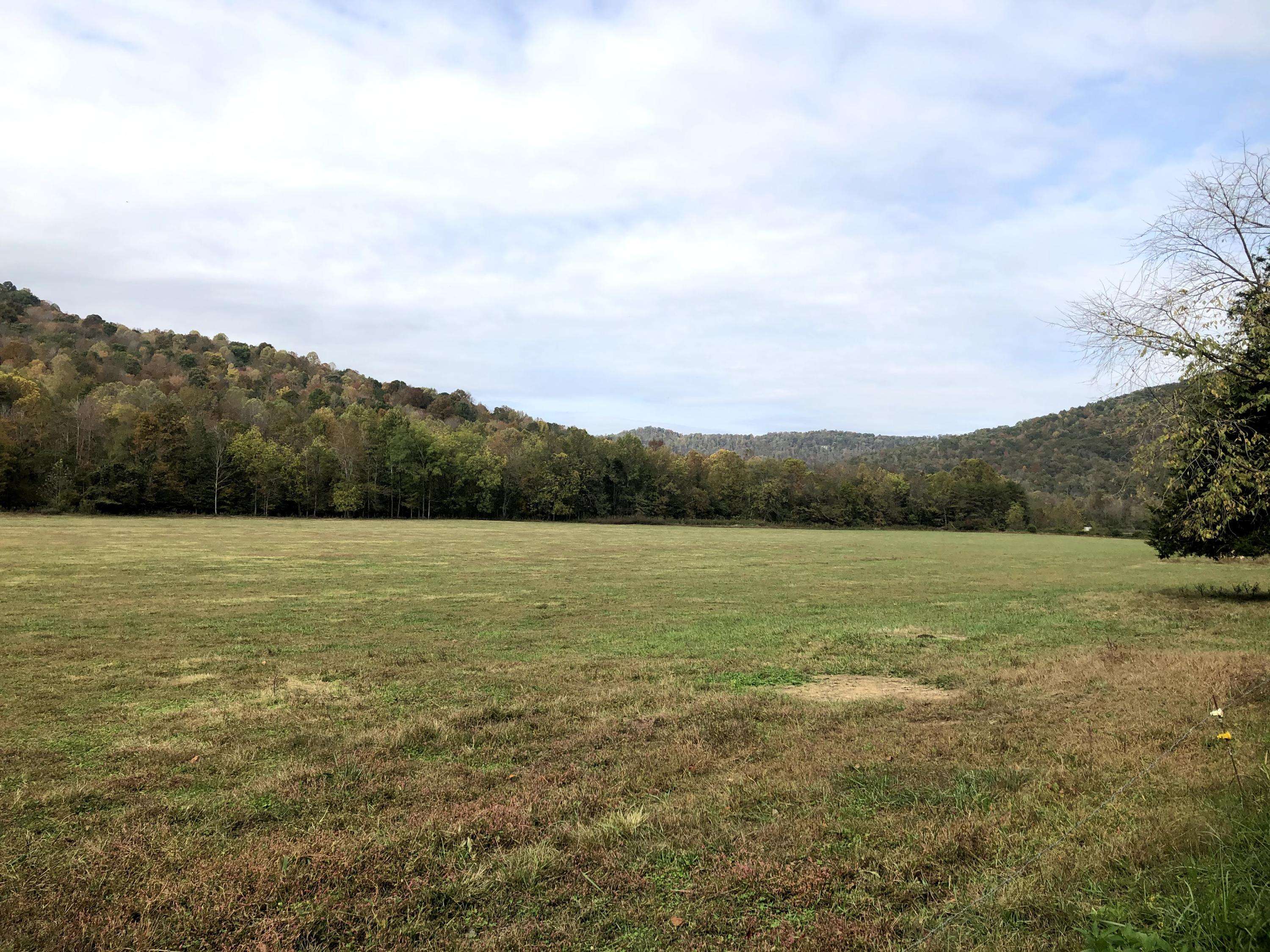 Pall Mall, TN 38577,Delk Creek Rd