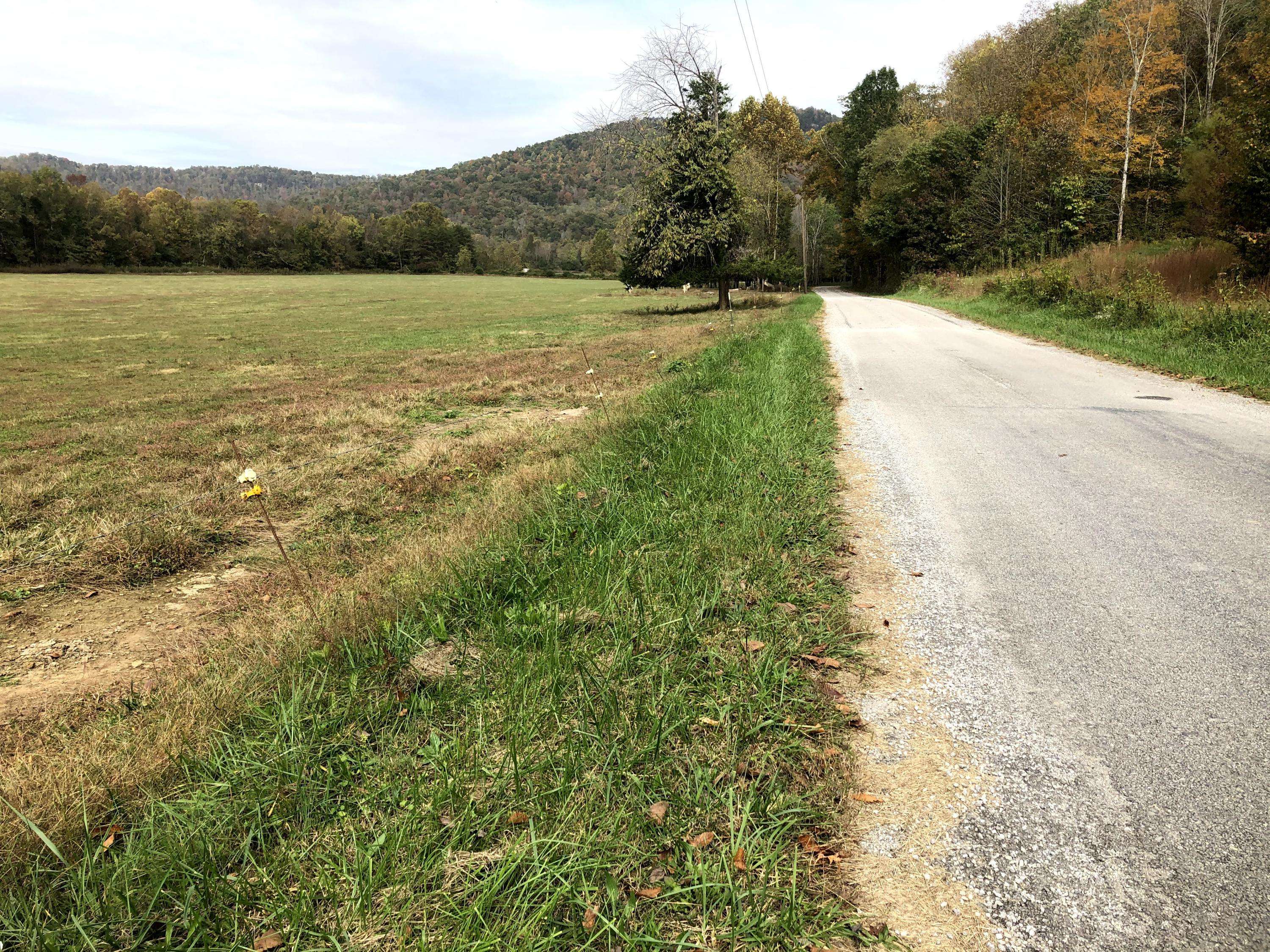 Pall Mall, TN 38577,Delk Creek Rd