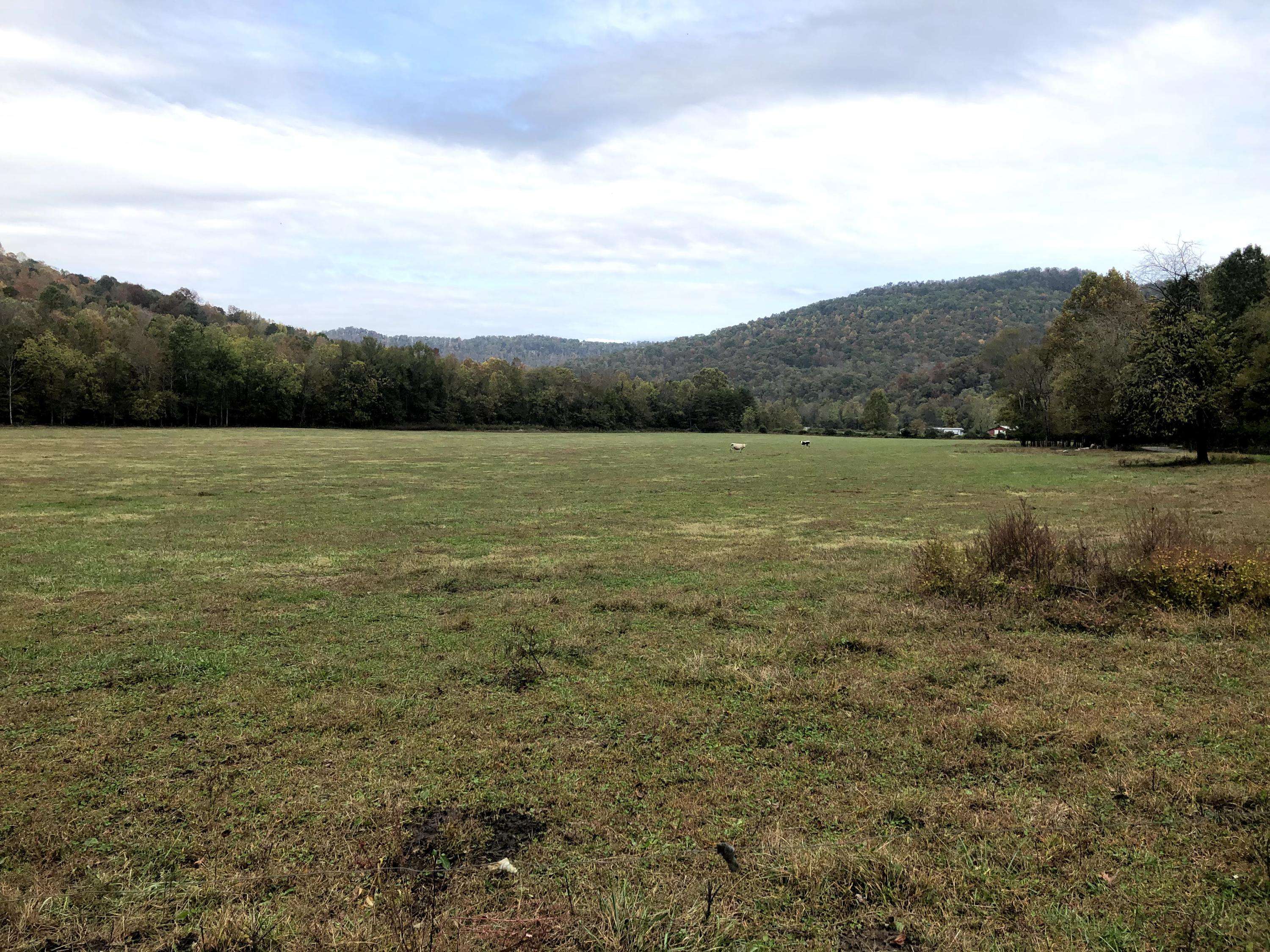 Pall Mall, TN 38577,Delk Creek Rd