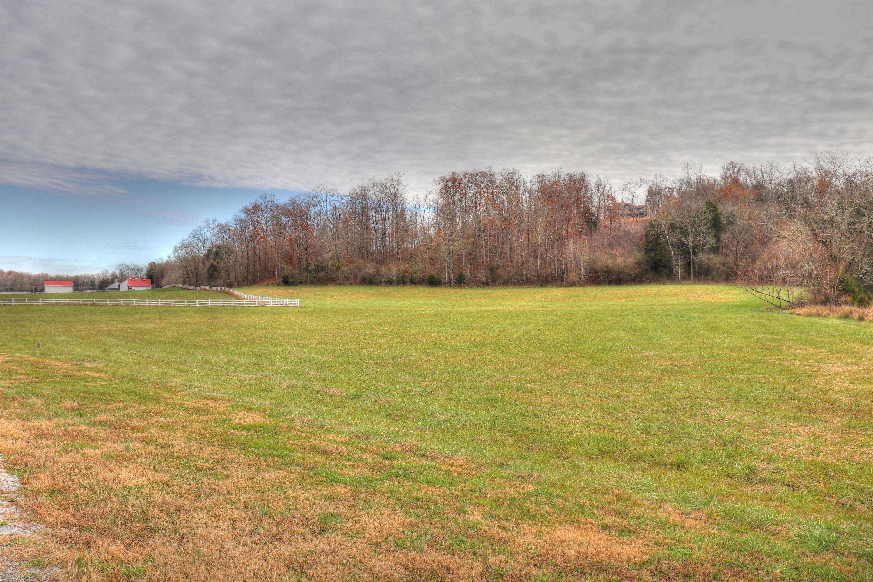 Rockwood, TN 37854,Lot 495 Shore DR