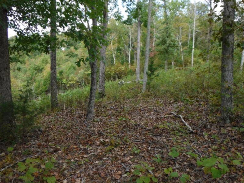 Allons, TN 38541,1.54ac Mitchell Creek PT