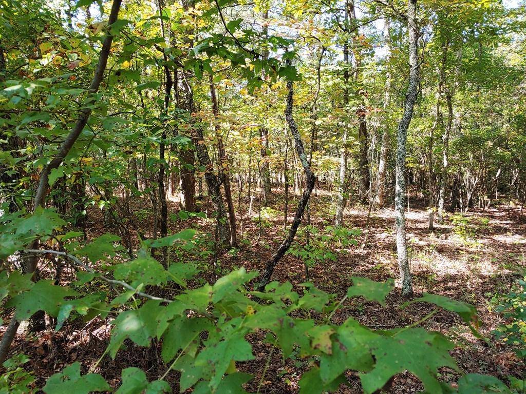 Dayton, TN 37321,0002 WHITE FLATS ROAD