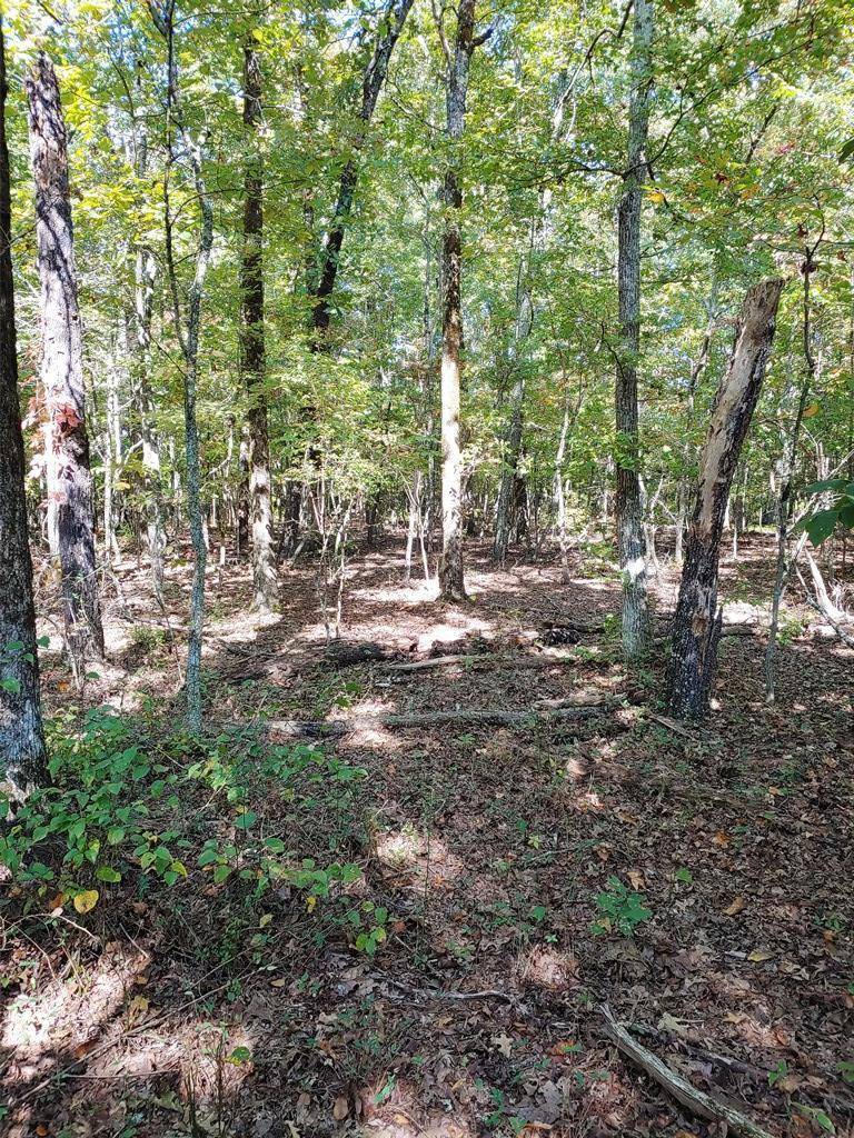 Dayton, TN 37321,0009 WHITE FLATS ROAD