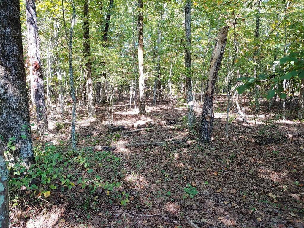 Dayton, TN 37321,0009 WHITE FLATS ROAD