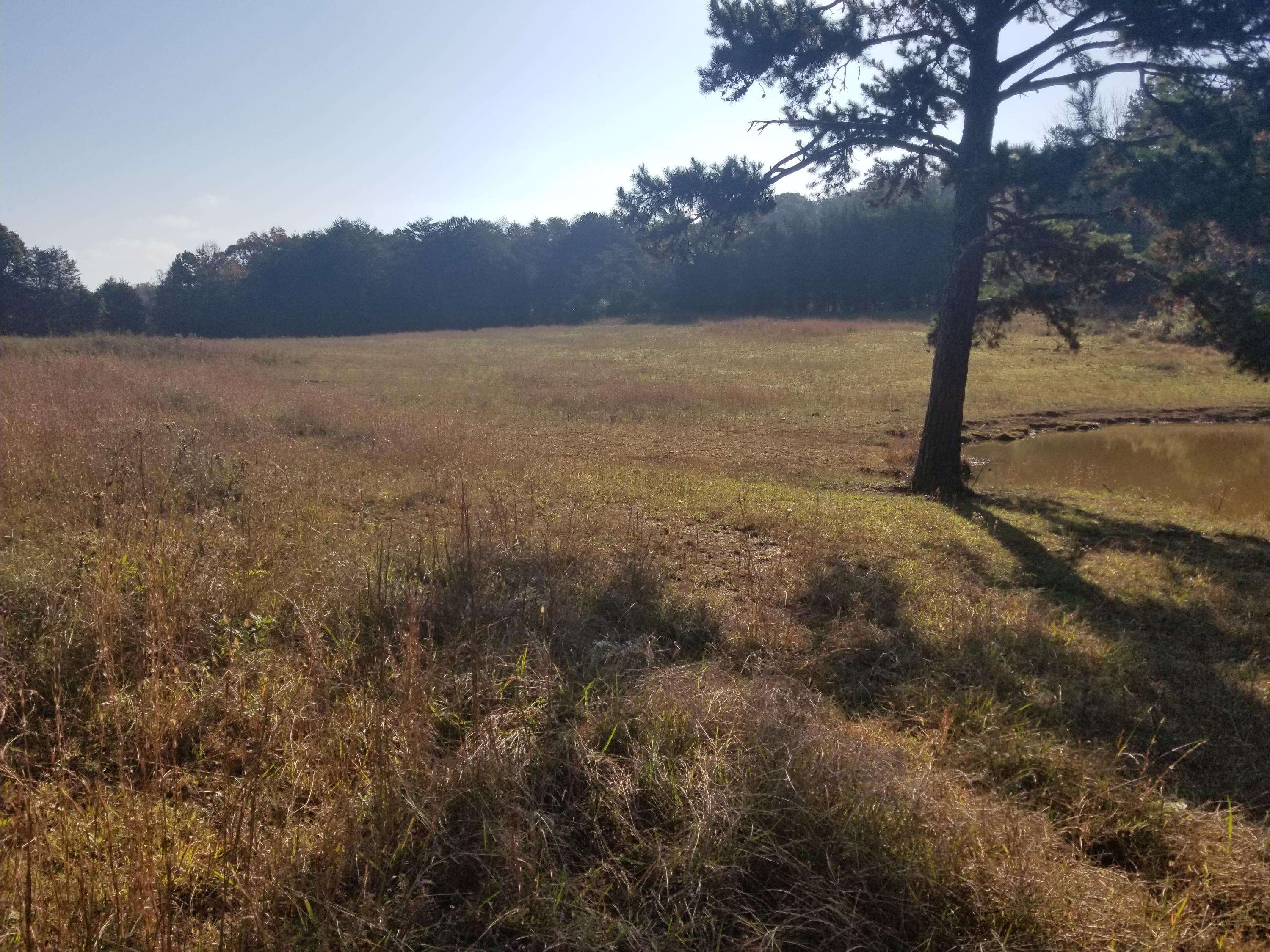 Strawberry Plains, TN 37871,9700 Smoky Row Rd