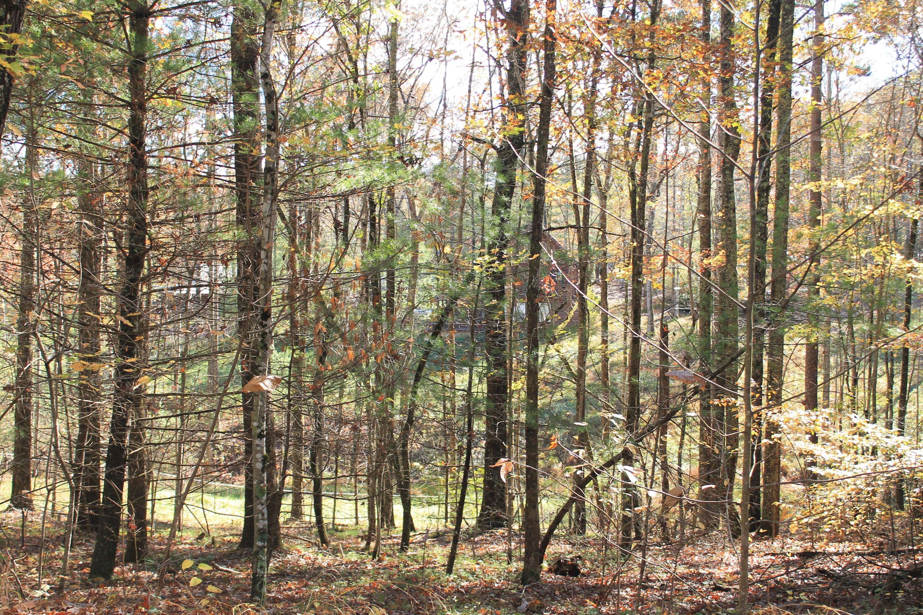 Jamestown, TN 38556,Lot 141 Deer Haven Tr