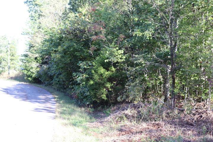 Madisonville, TN 37354,Lot 82 Polly Mountain Rd,