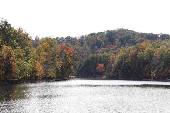 Madisonville, TN 37354,Lot 82 Polly Mountain Rd,