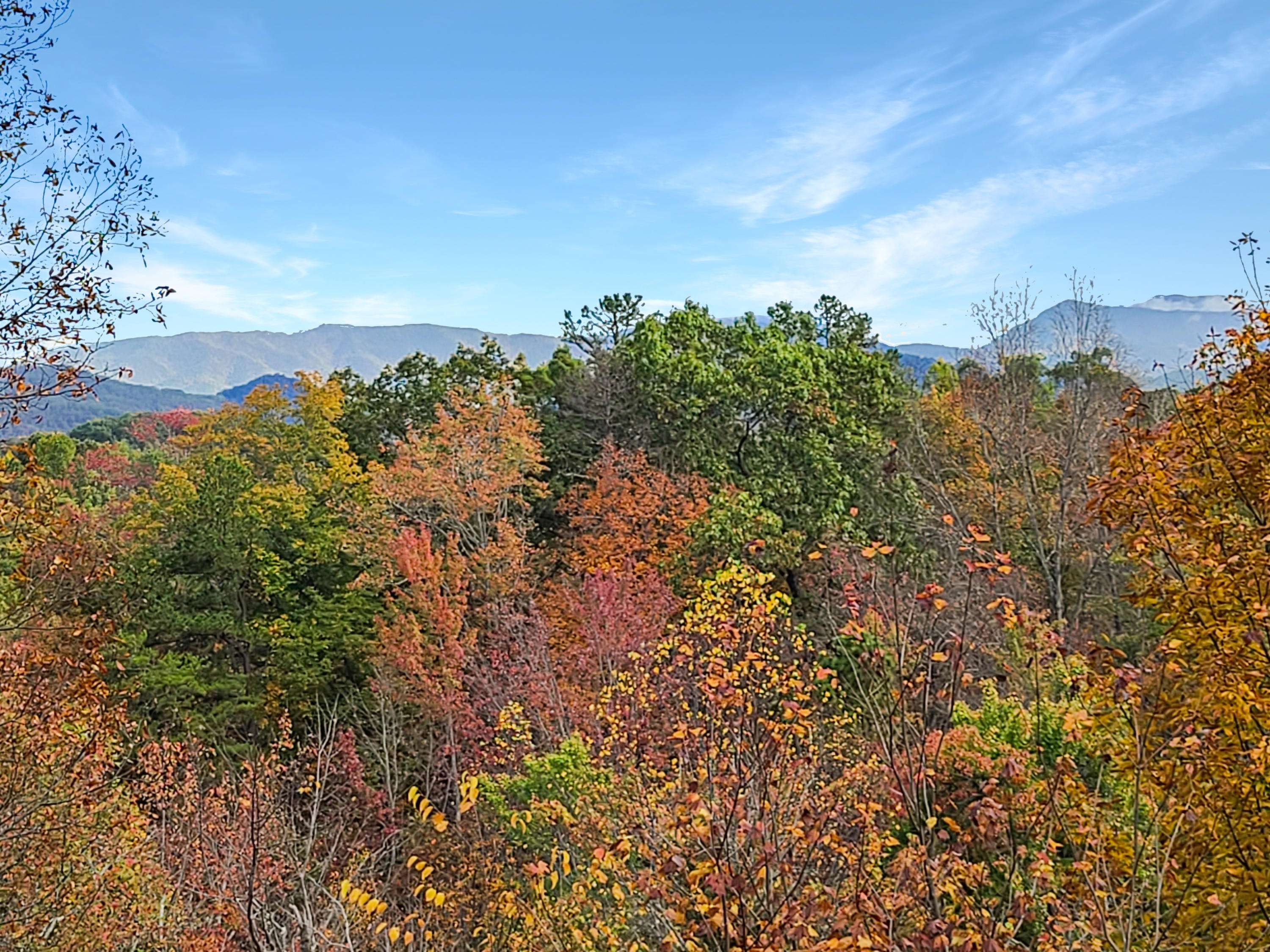 Sevierville, TN 37876,3607 Pinetree WAY