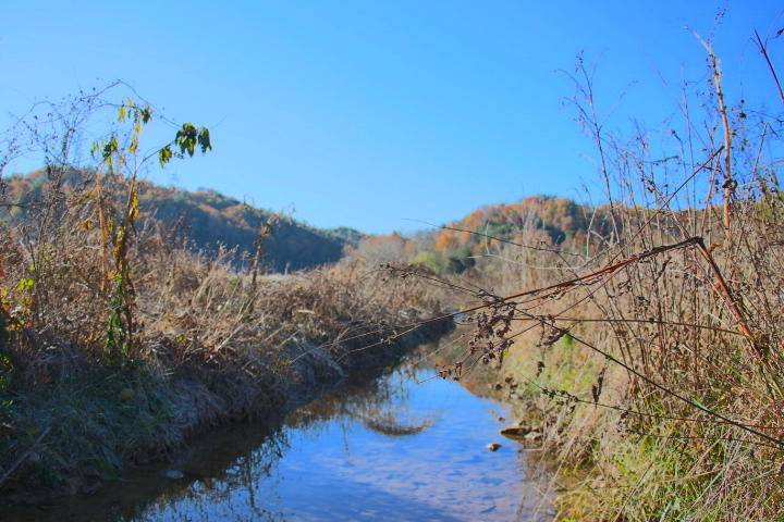 Tellico Plains, TN 37385,1 Creek Rd