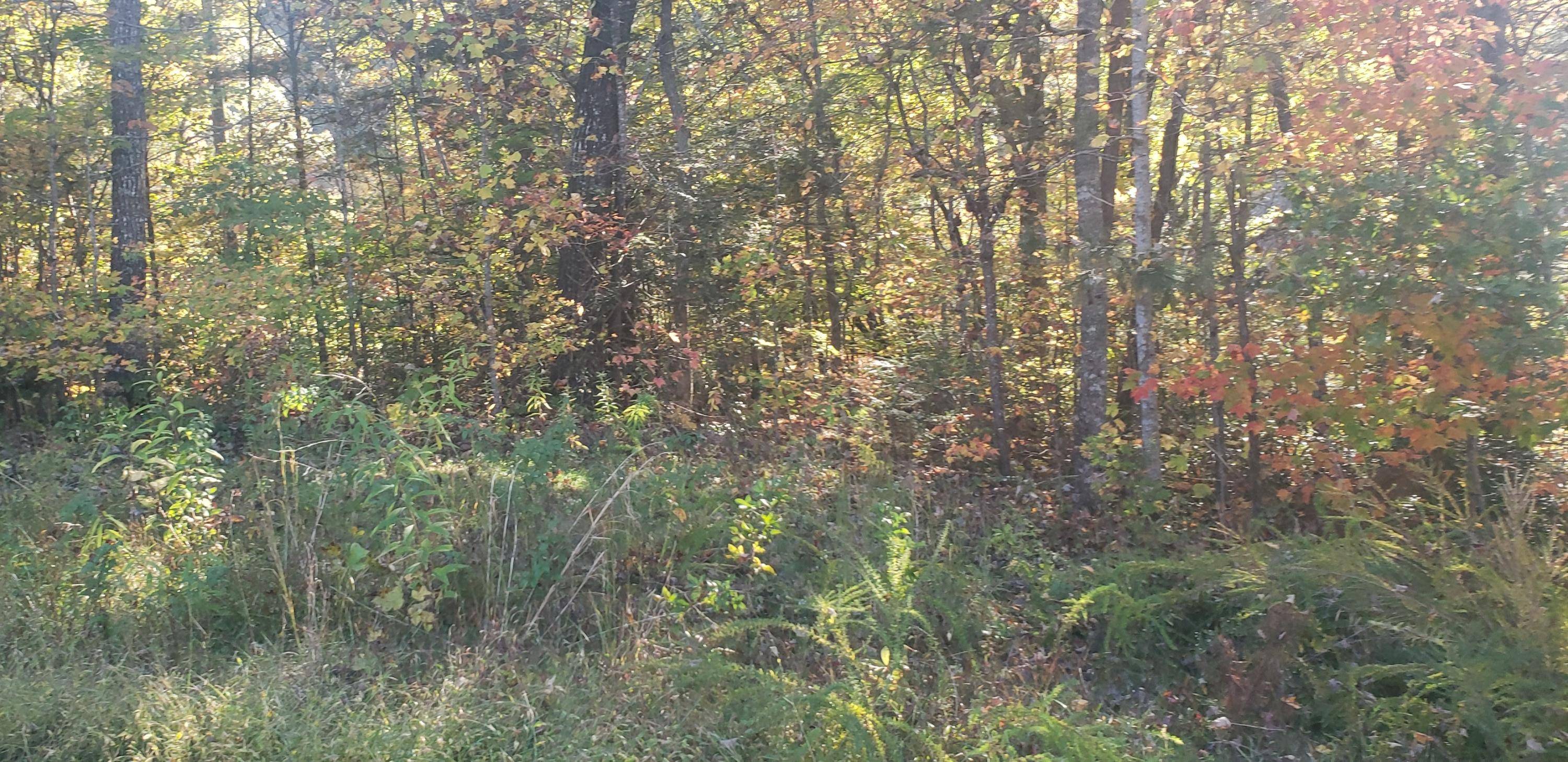 Sevierville, TN 37876,Lot 8-R Woodcock Trail