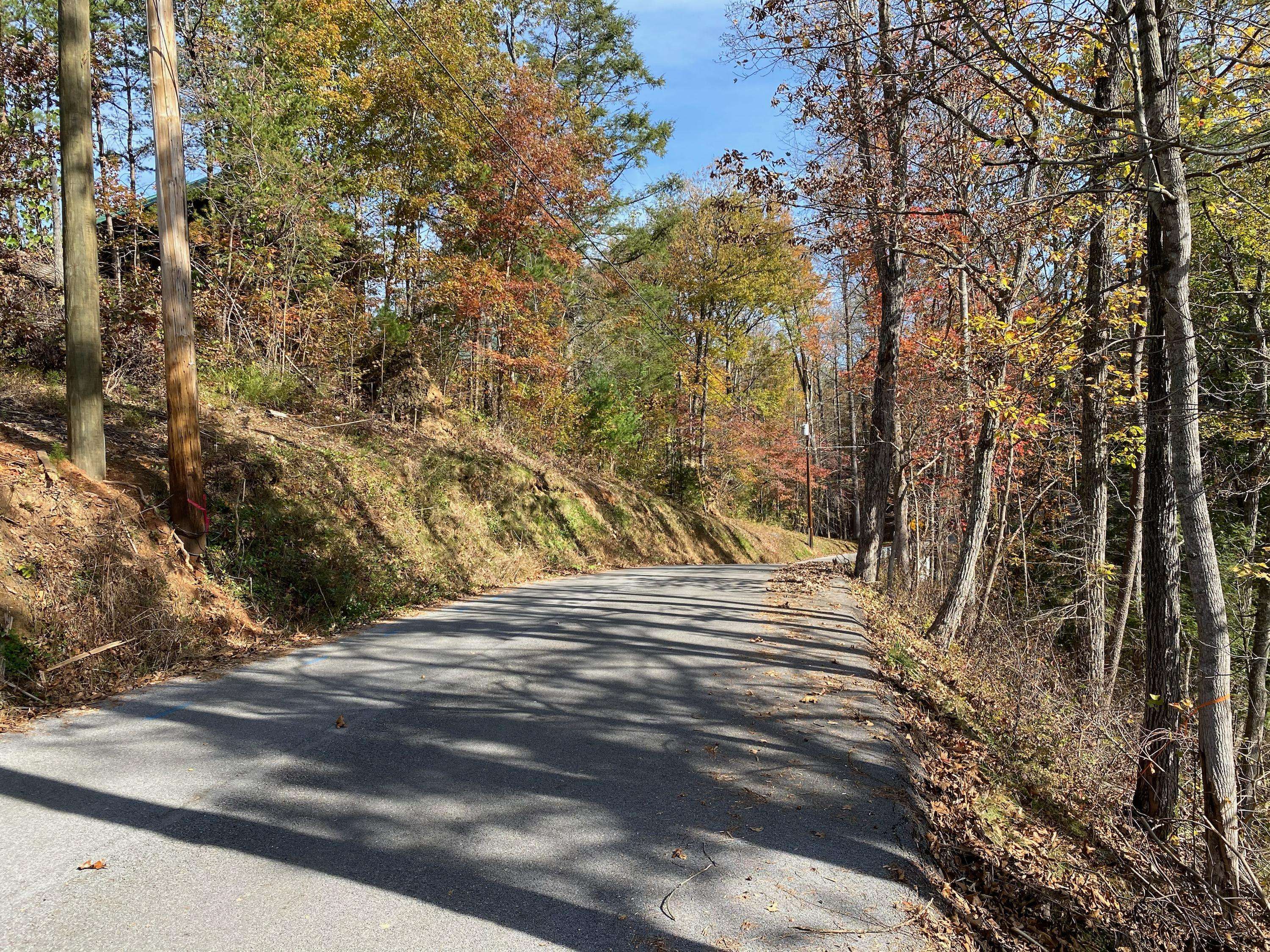 Gatlinburg, TN 37738,Lot 5 Old Cartertown Road