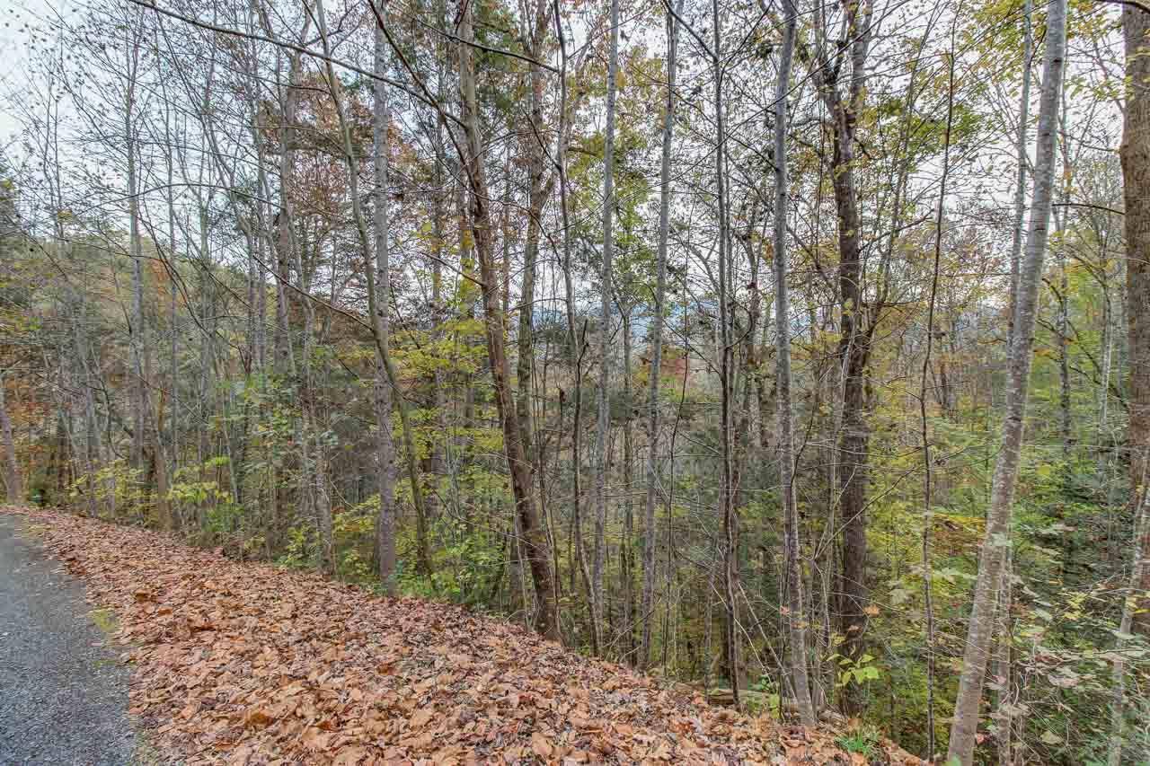 Sevierville, TN 37876,Lot 38 Fiddler South WAY