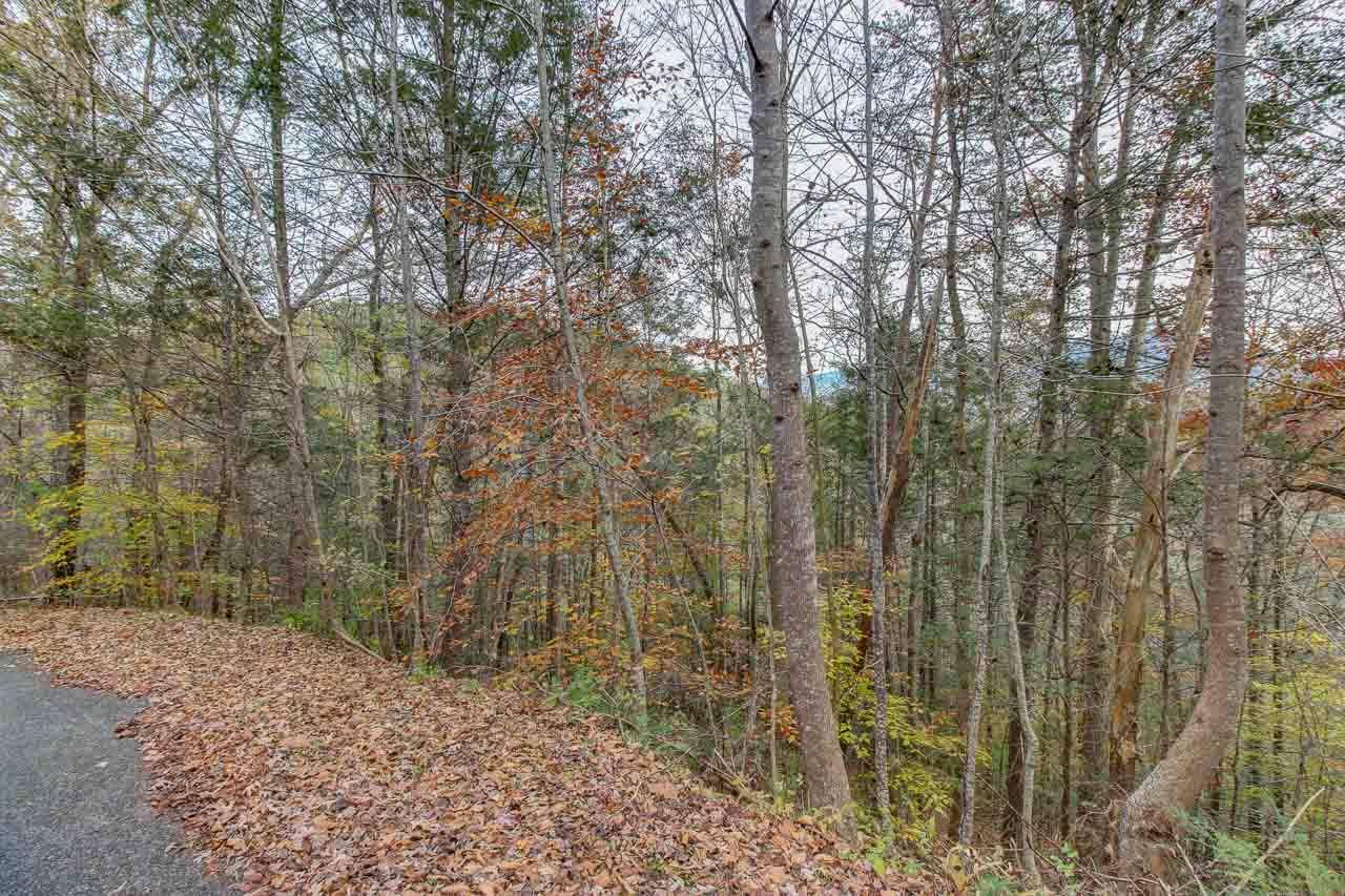 Sevierville, TN 37876,Lot 38 Fiddler South WAY