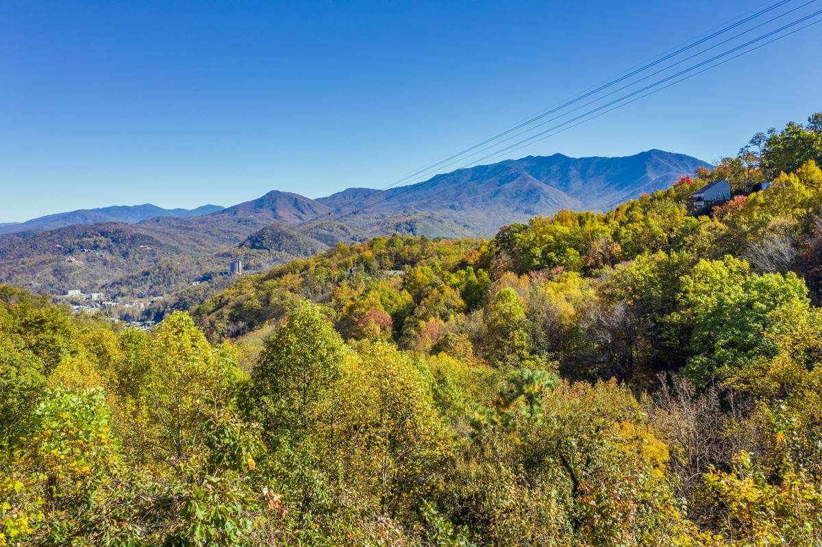 Gatlinburg, TN 37738,848 Heiden DR