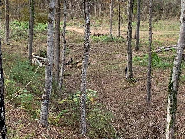 Sevierville, TN 37876,LOT 52 Rocky Point Way WAY