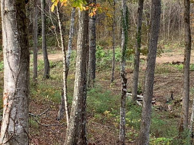 Sevierville, TN 37876,LOT 52 Rocky Point Way WAY