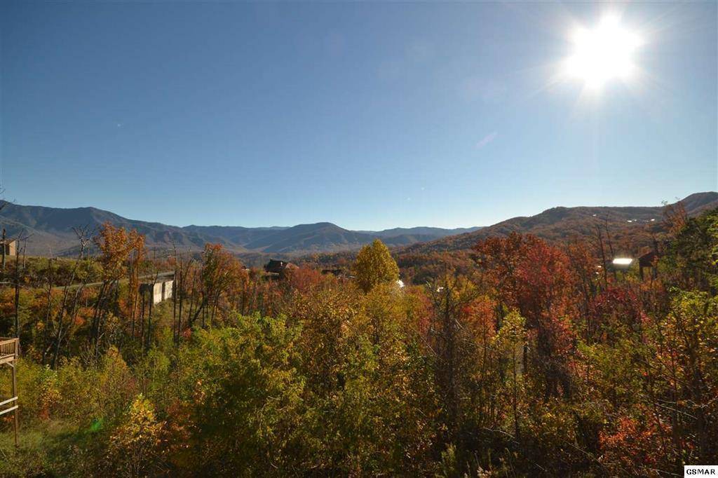 Gatlinburg, TN 37738,823 Wiley Oakley Drive