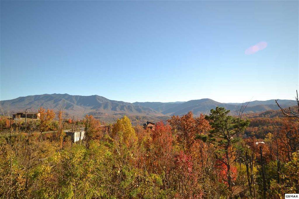 Gatlinburg, TN 37738,829 Wiley Oakley Drive