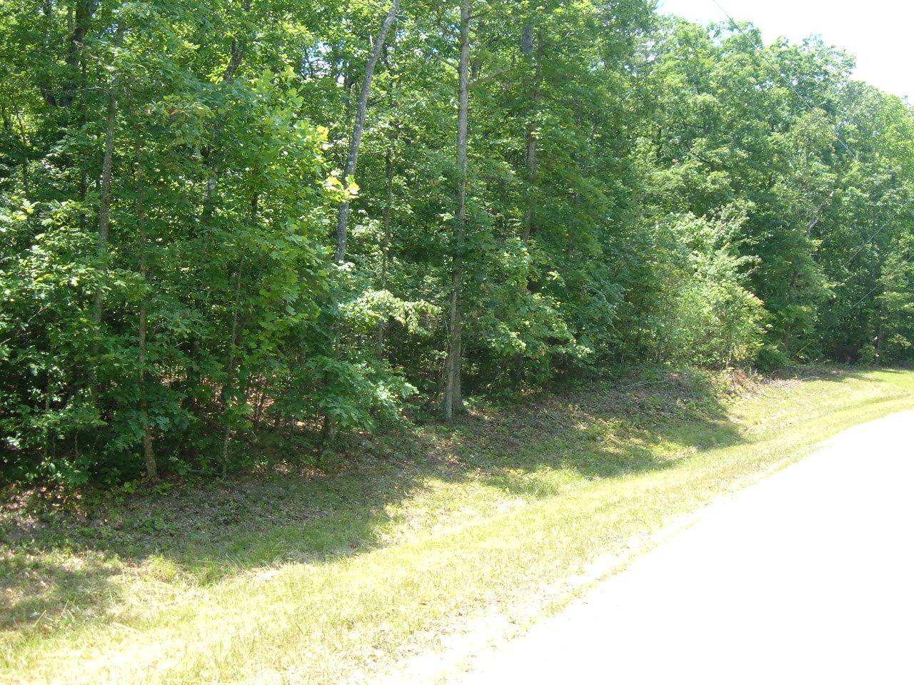 Monterey, TN 38574,Laurel WAY