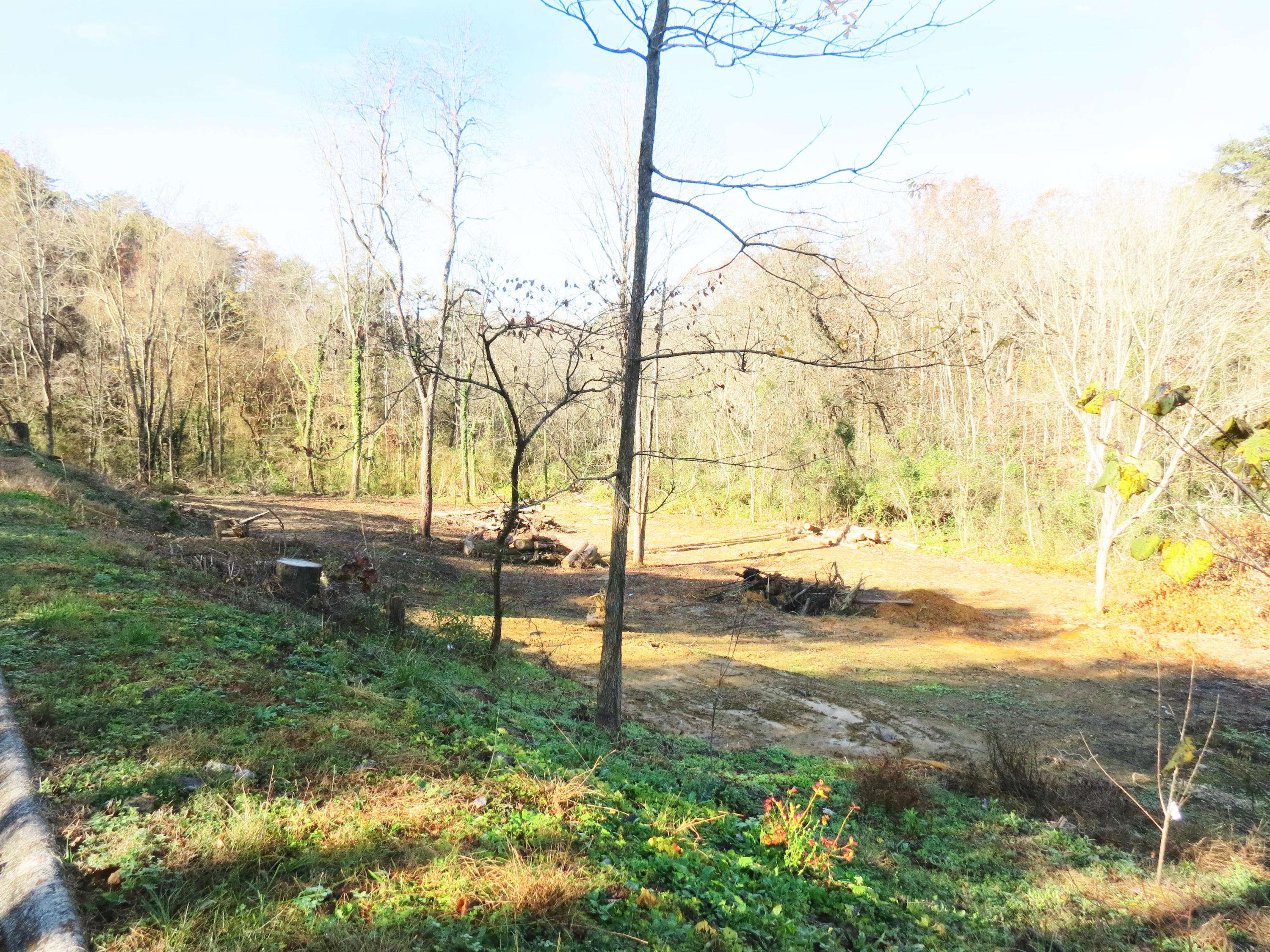 Morristown, TN 37813,Lot 5 Daniels DR