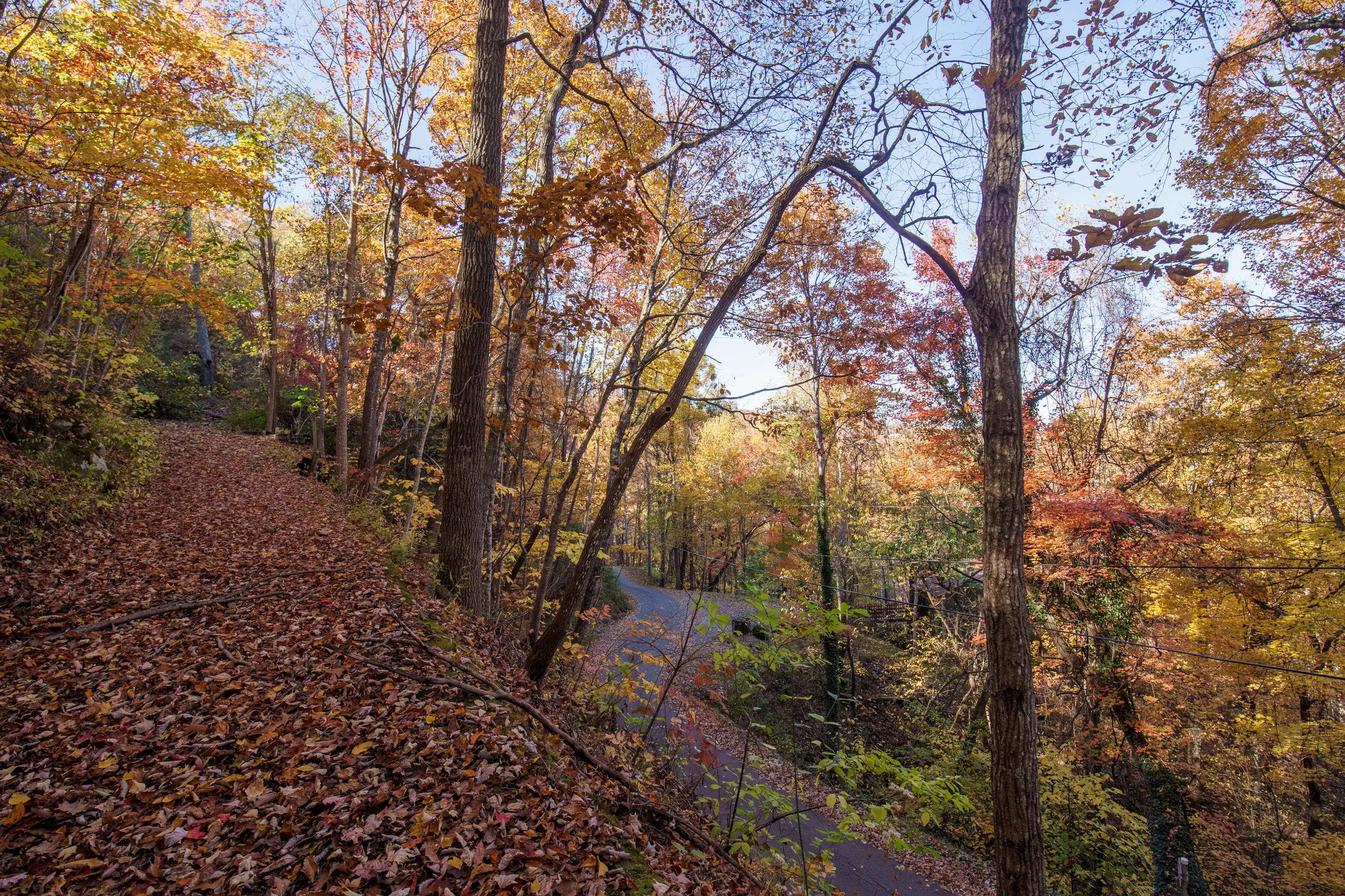 Gatlinburg, TN 37738,827 Innsbruck DR