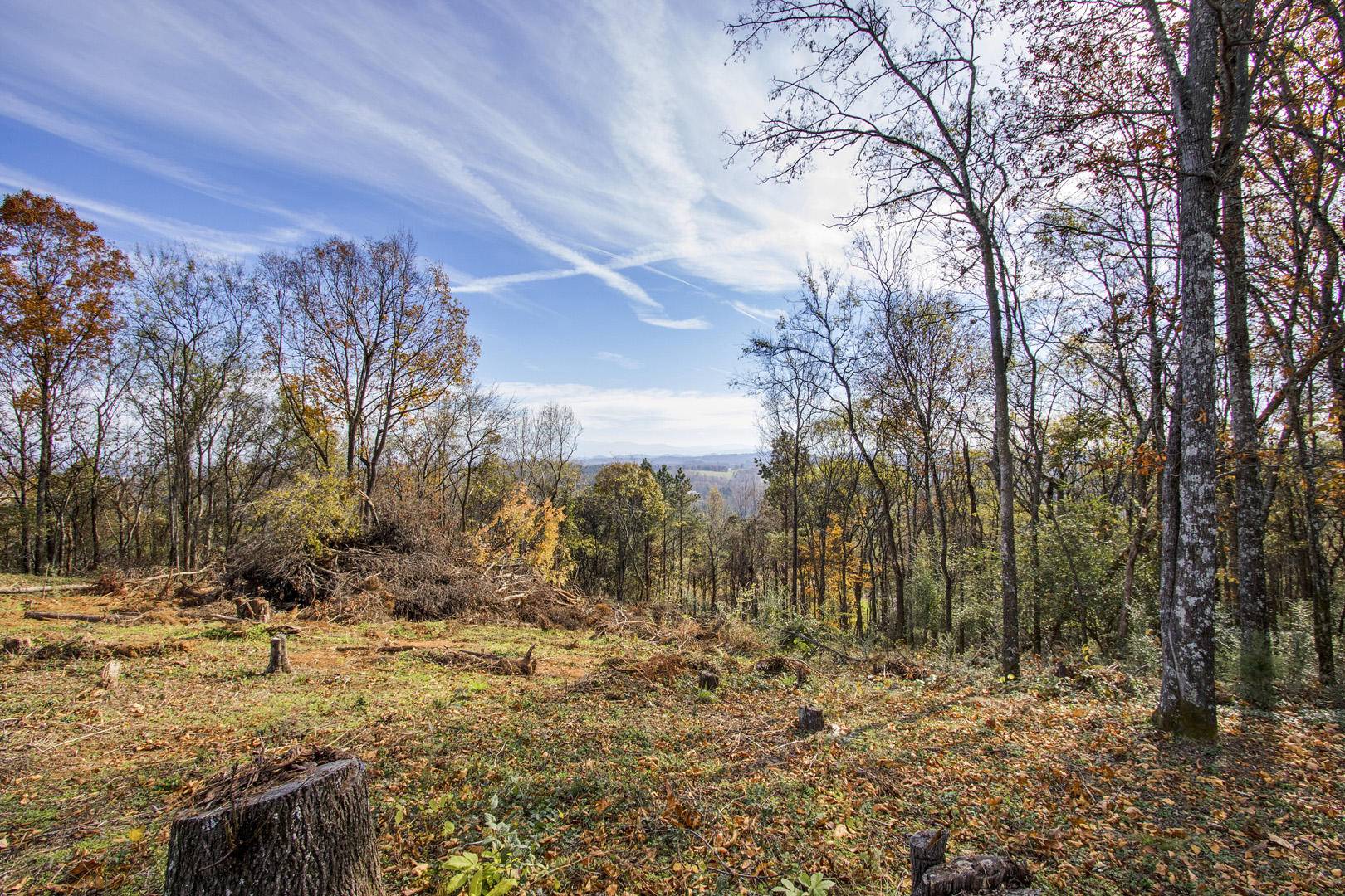 Vonore, TN 37885,Lot 14 Overlook WAY