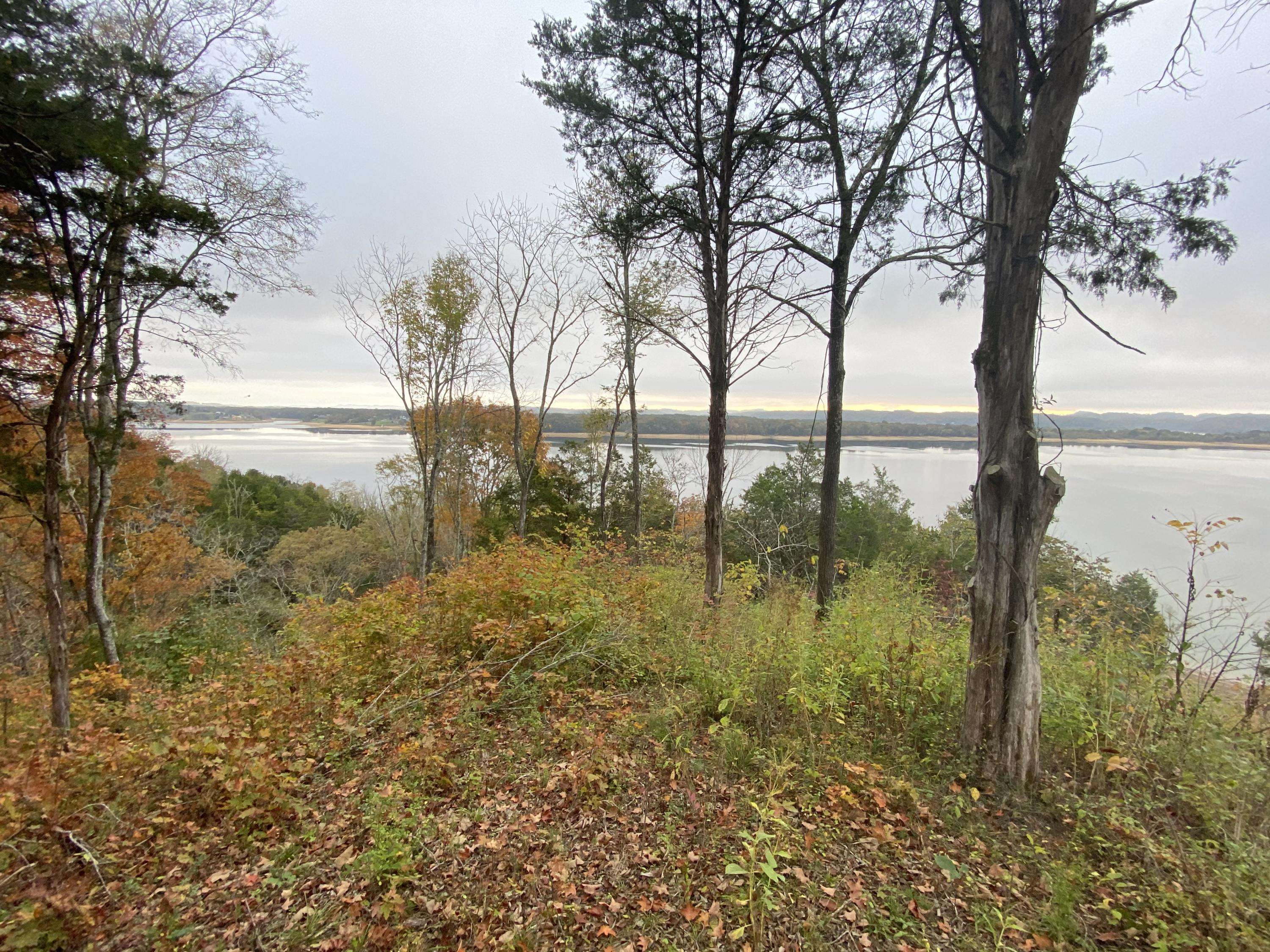 Dandridge, TN 37725,Lot 65 Waterside On Douglas