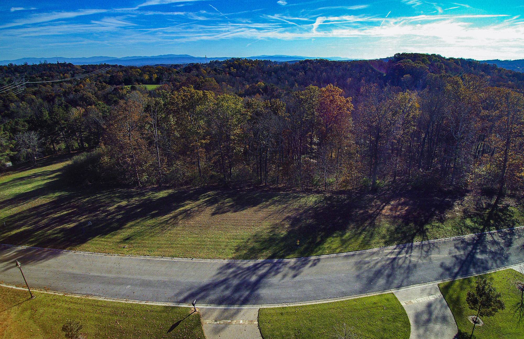 Louisville, TN 37777,3317 Preserve Pointe