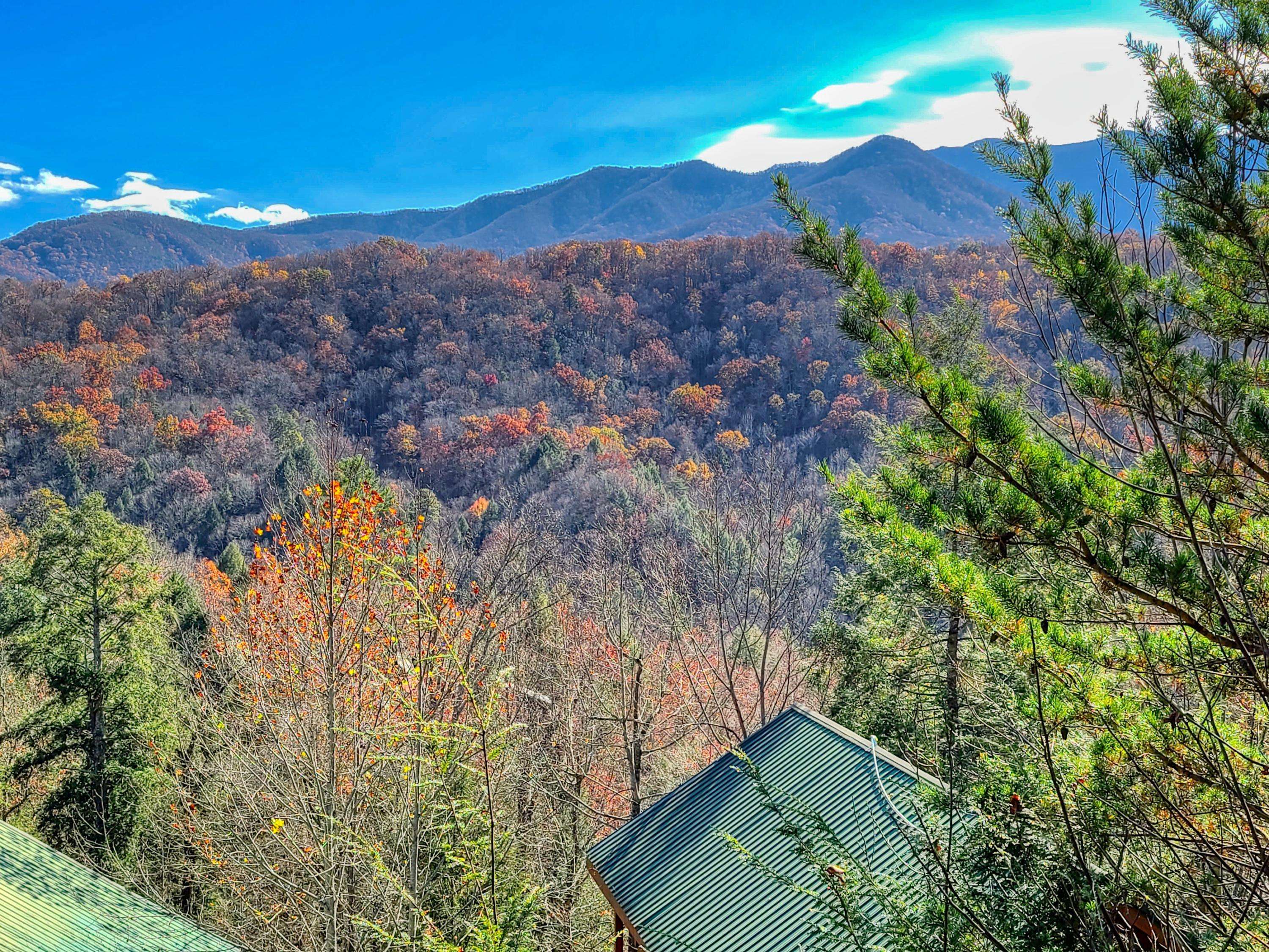 Gatlinburg, TN 37738,1773 Mountain Shadows WAY