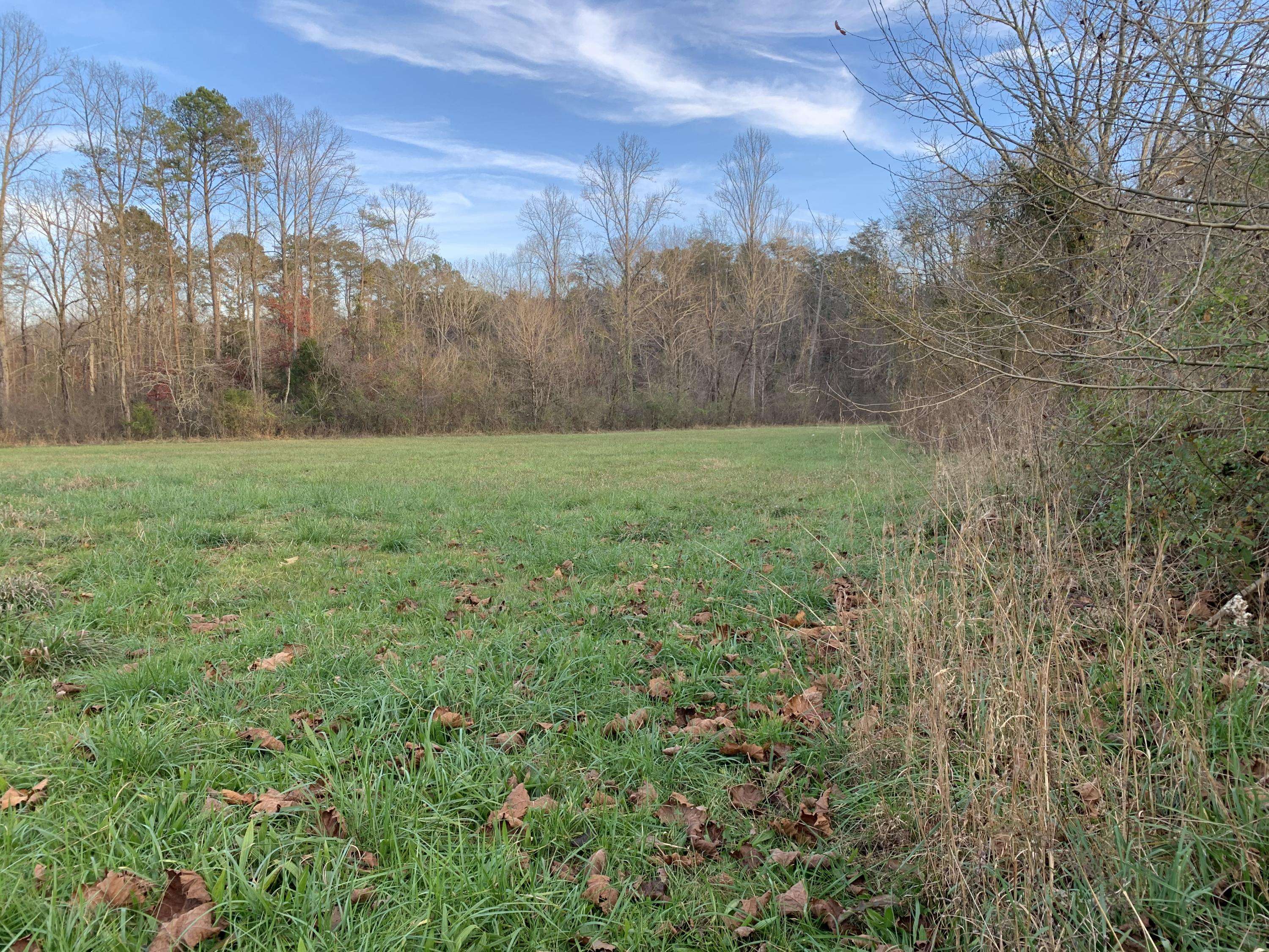 Tellico Plains, TN 37385,Cagle Rd